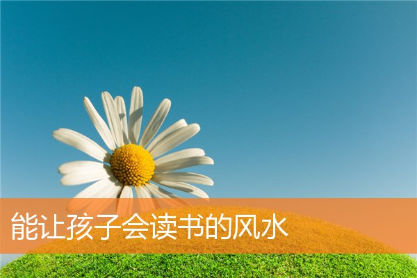 男人养什么花招桃花运(桃花运八字)