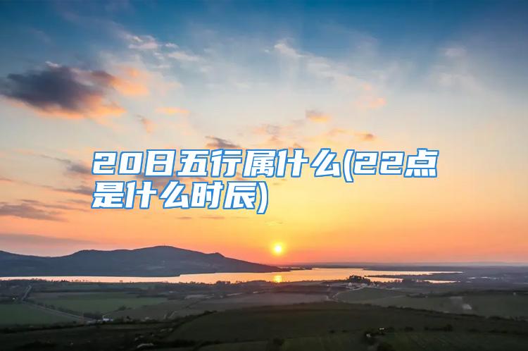 20日五行属什么(22点是什么时辰)