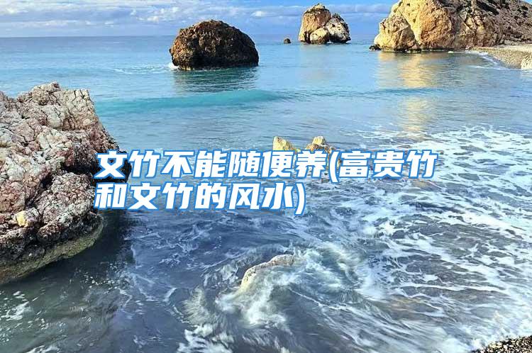 文竹不能随便养(富贵竹和文竹的风水)