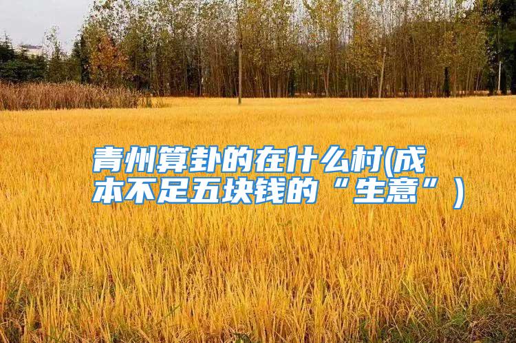 青州算卦的在什么村(成本不足五块钱的“生意”)