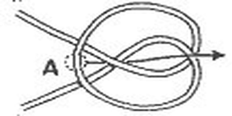 登山八字扣的绑法图解(学好这50多种户外绳子打结)