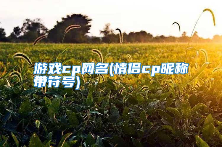 游戏cp网名(情侣cp昵称带符号)