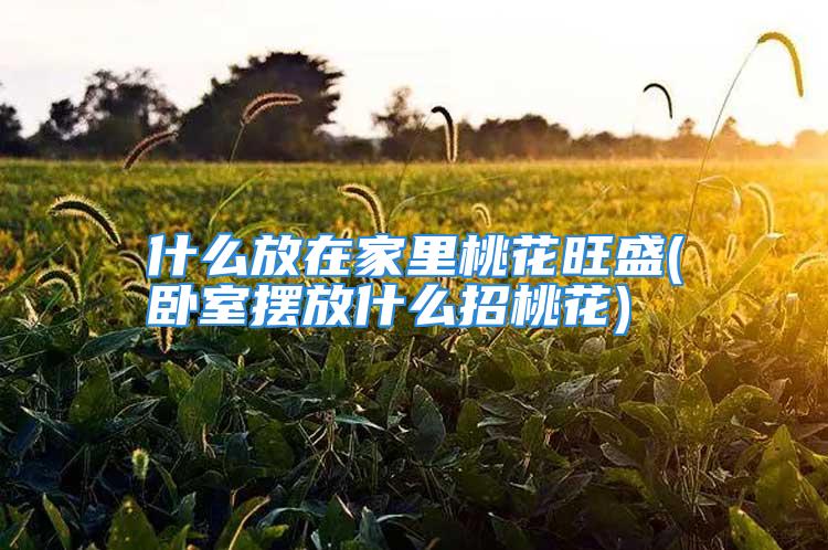 什么放在家里桃花旺盛(卧室摆放什么招桃花)