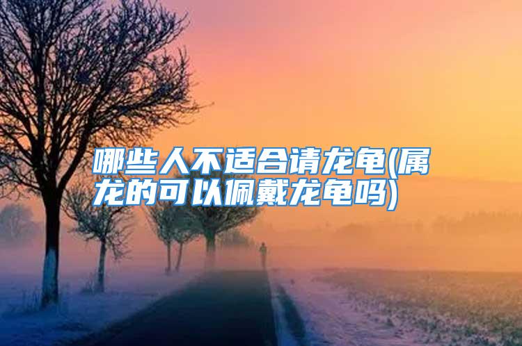 哪些人不适合请龙龟(属龙的可以佩戴龙龟吗)