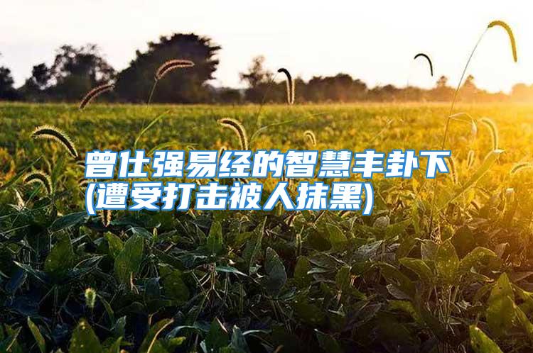 曾仕强易经的智慧丰卦下(遭受打击被人抹黑)