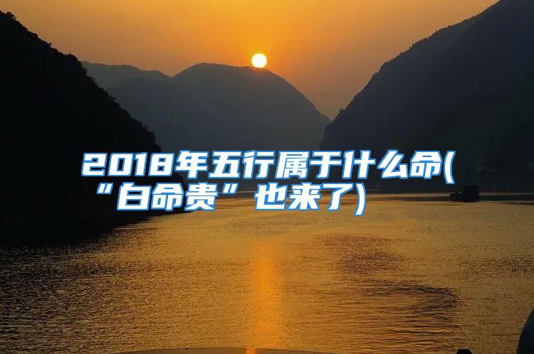 2018年五行属于什么命(“白命贵”也来了)