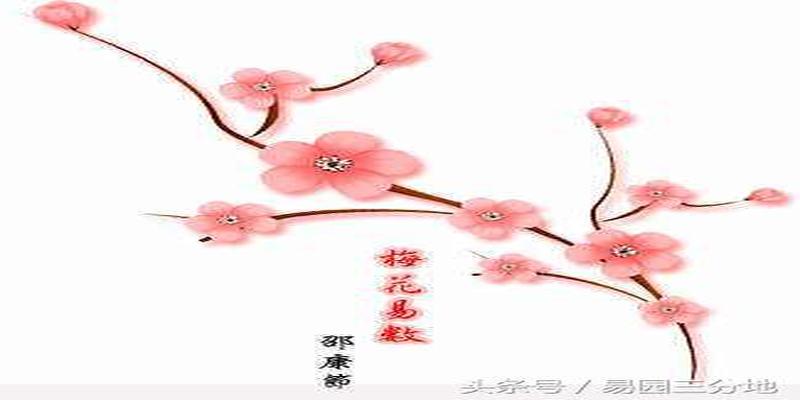 邵雍梅花易数精解(邵雍梅花易数)