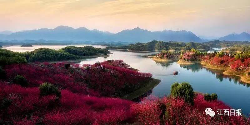 韩海军梅花易数内部资料(三生三世十里桃花)