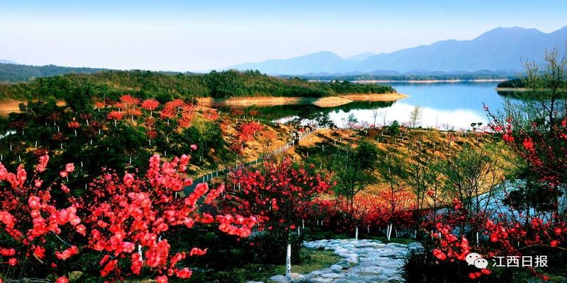 韩海军梅花易数内部资料(三生三世十里桃花)