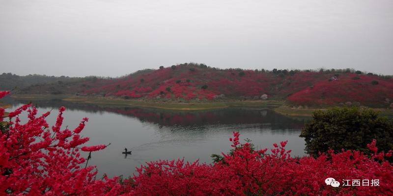 韩海军梅花易数内部资料(三生三世十里桃花)