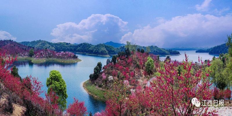 韩海军梅花易数内部资料(三生三世十里桃花)