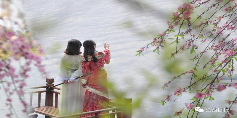 韩海军梅花易数内部资料(三生三世十里桃花)