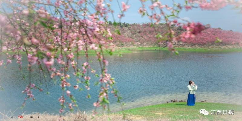 韩海军梅花易数内部资料(三生三世十里桃花)