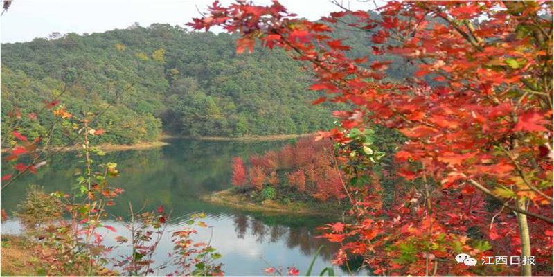 韩海军梅花易数内部资料(三生三世十里桃花)