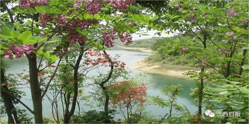 韩海军梅花易数内部资料(三生三世十里桃花)