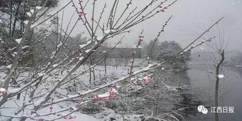 韩海军梅花易数内部资料(三生三世十里桃花)