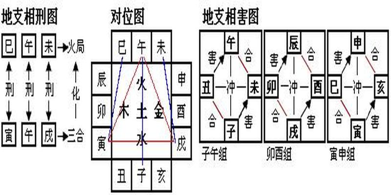 八字合化详细解释(易学基础天干地支的合化)