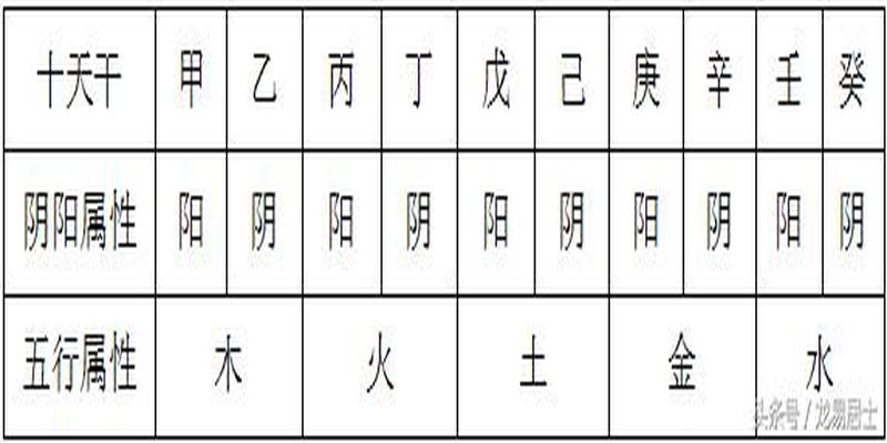 八字命理基础之甲木篇(龙易居士教你自学命理基础知识)