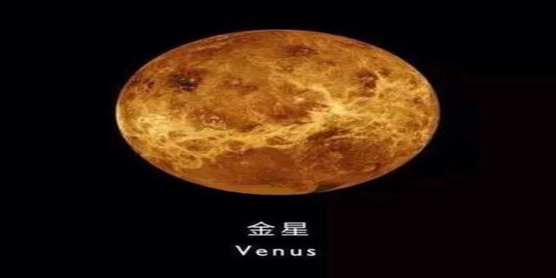 八字子女宫在哪个位置(星盘里金星主什么)