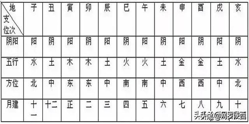 八字带有亥子丑的人(八字入门的十六个基础)