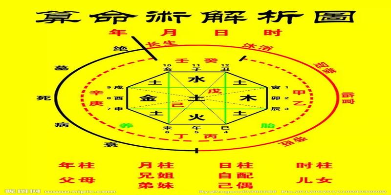 八字木旺的男命(男命八字详批)