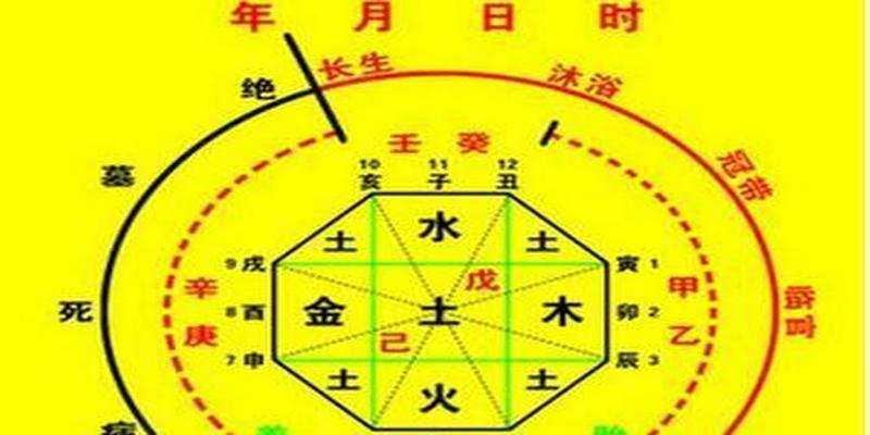 八字胎命身宫(四柱命理实战篇)