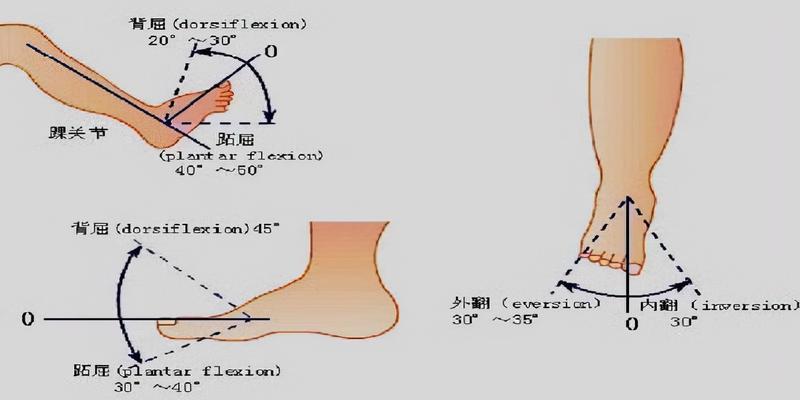 八字脚如何矫正(外八字纠正性训练的思路)