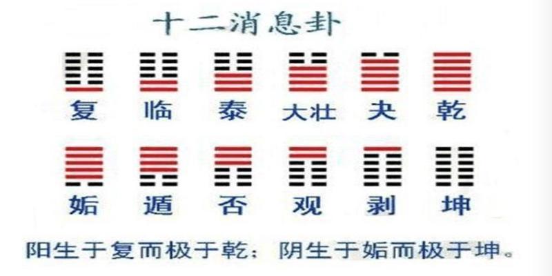 白色在易经代表什么(易经与生老病死的关系)