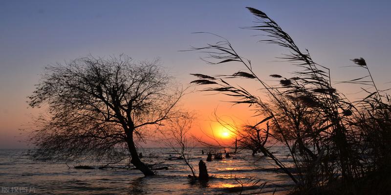 北极极昼太阳方位(太阳有可能从西边出来吗)