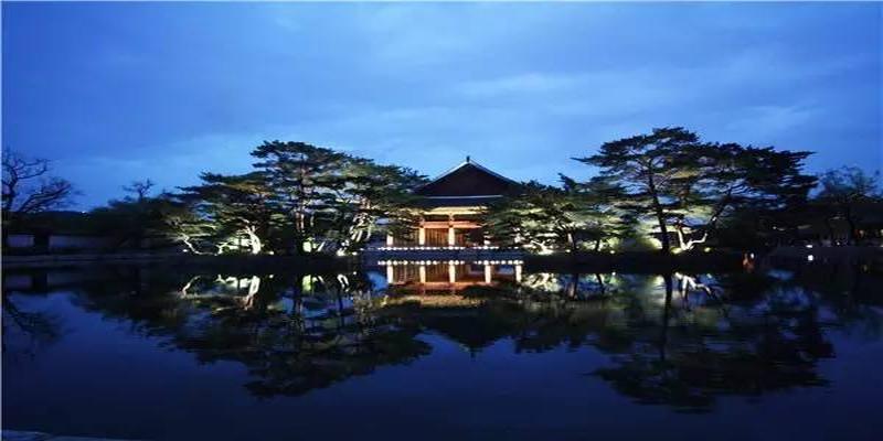 茶花树风水问题(植物风水学知识)