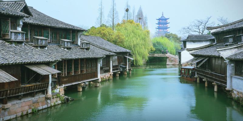 坟墓种什么树最旺风水(农村俗语“宁让门前方塘生)