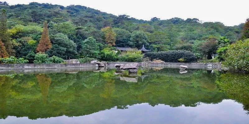 房子朝向东南方向好不好风水(一山一湖一园尽得温州精华)