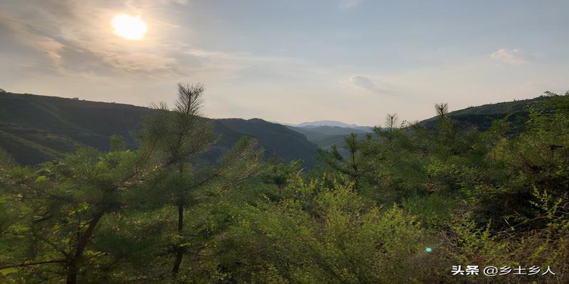 坐丑向未是什么方位(什么叫太阳到山)