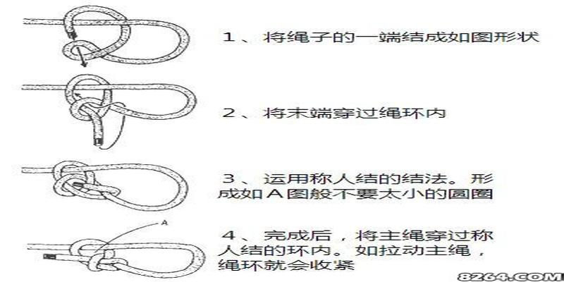 双八字结的特征(称人结7大变式面面观)