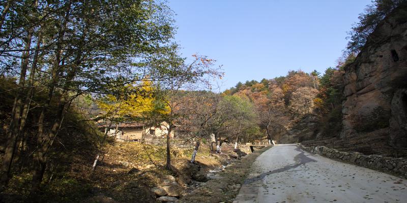 秦岭里面有古墓吗(秦岭古墓群)