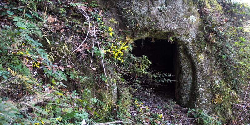 秦岭里面有古墓吗(秦岭古墓群)