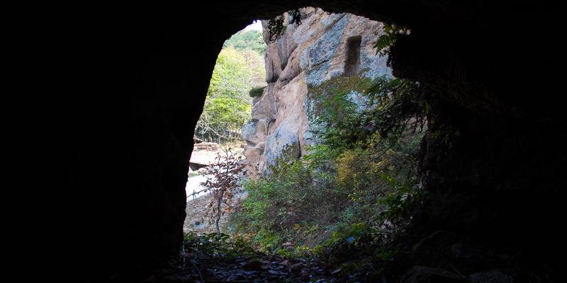 秦岭里面有古墓吗(秦岭古墓群)