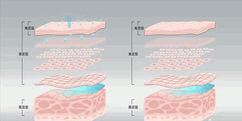 去除法令纹的精华排名(去除法令纹的护肤品)