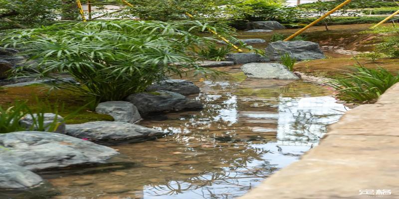 四水归堂风水解释(深圳竟然从江西搬来一座)