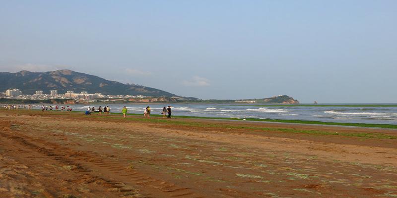 青岛海滨浴场(青岛海底世界表演时间表)