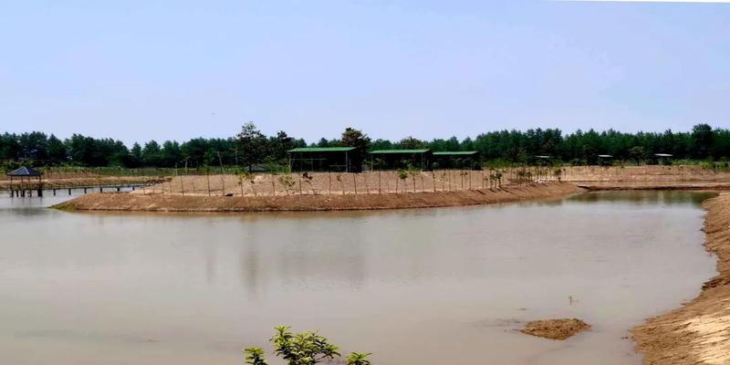 南京江心洲风水解析(风水宝地鳊鱼洲)