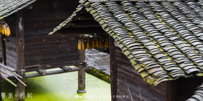 农村粮仓在房子哪个方位最好(这个民族异想天开)