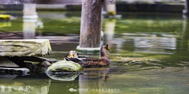 农村粮仓在房子哪个方位最好(这个民族异想天开)