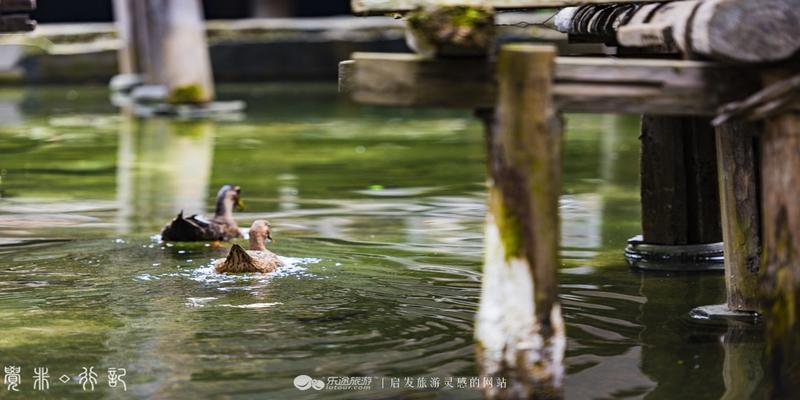 农村粮仓在房子哪个方位最好(这个民族异想天开)