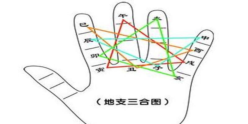 地支相冲相合哪个优先(地支相冲相合相生)