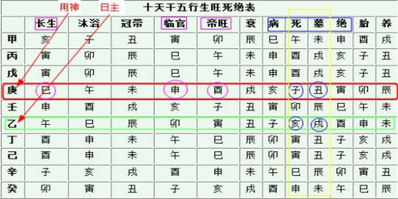 通根和得月令谁力量大(月令通气身旺)