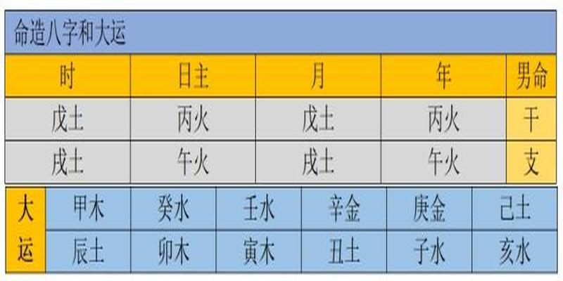 食神为用神的人特点(食神的意思)