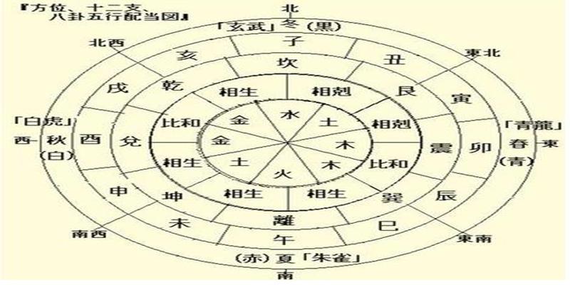 数字在易经数理(易经号码数字详解)