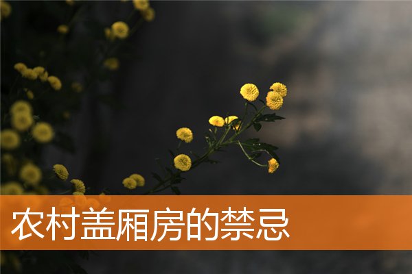 风水光煞怎么化解(过道横梁化煞)