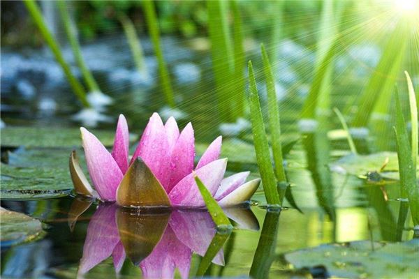 九星风水与周易八卦学(玄空九星组合吉凶断)